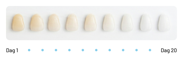 Zichtbaar Resultaat in 20 Dagen