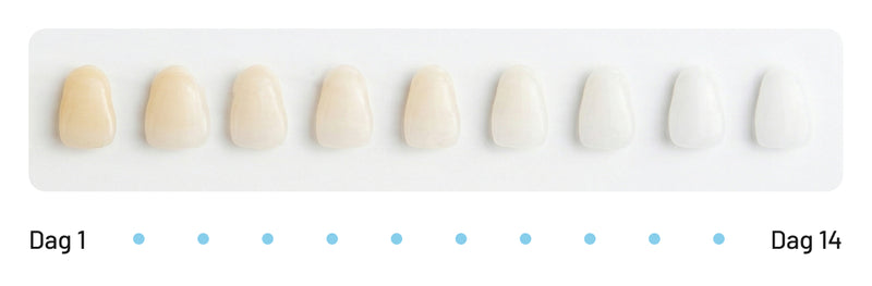 Zichtbaar Resultaat in 14 Dagen