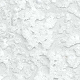 PAP (Phthalimidoperoxycaproic Acid)